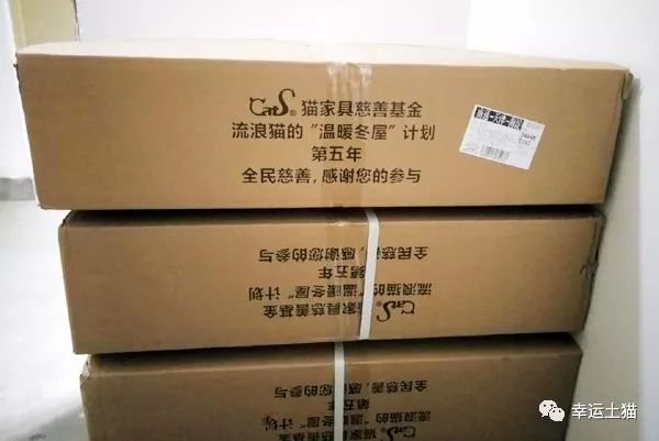 2017温暖继续!感谢CATS慈善基金连续五年为流浪猫提供温暖冬屋!