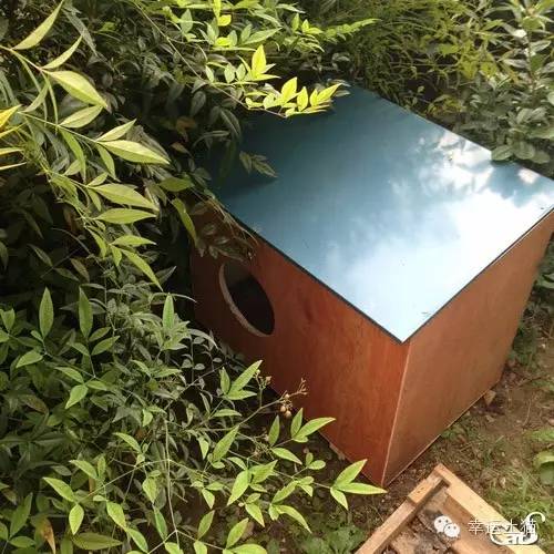 2017温暖继续!感谢CATS慈善基金连续五年为流浪猫提供温暖冬屋!