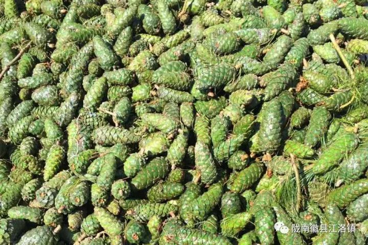 备战双11捡漏,备战双十一出绝招