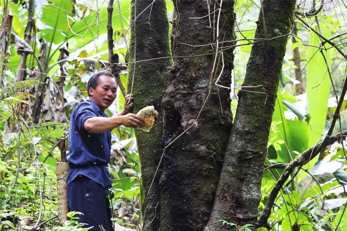芒市黑河老坡沿途自然风景,芒市苤菜坝和黑河老坡一样吗