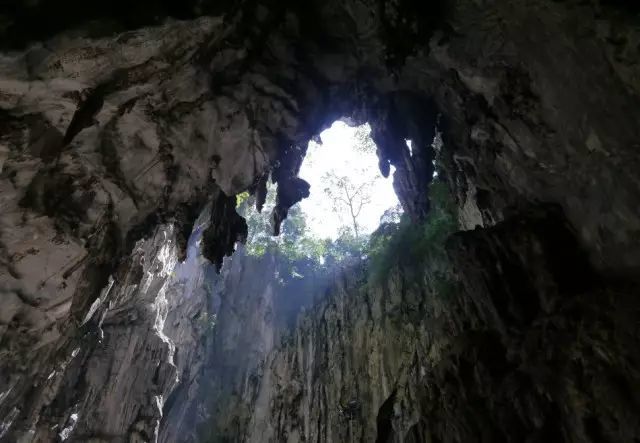 旅游签证办理流程和费用详解,旅游签证办理流程详解