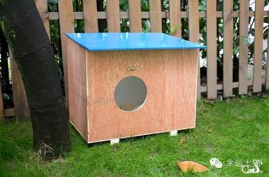 2017温暖继续!感谢CATS慈善基金连续五年为流浪猫提供温暖冬屋!