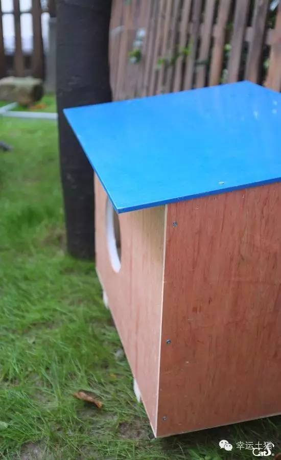 2017温暖继续！感谢CATS慈善基金连续五年为流浪猫提供温暖冬屋！