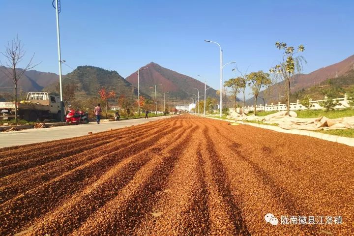 备战双11捡漏,备战双十一出绝招