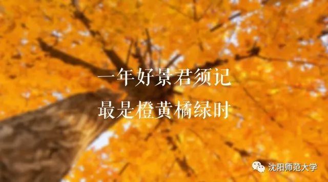 听书明朝那些事儿,听书明朝那些事42