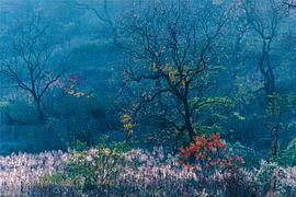 广播文章精选唯美,广播稿精选100字