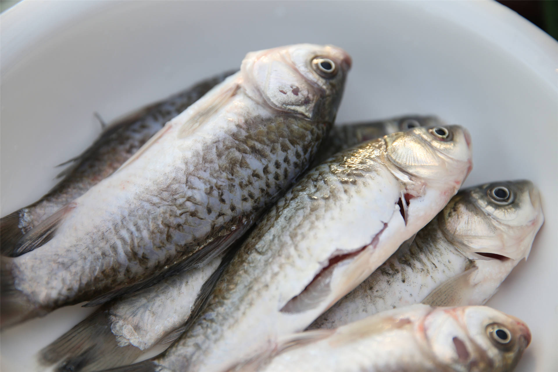 告诉你，我就是来拉仇恨的！警营厨神争霸赛火热开启~