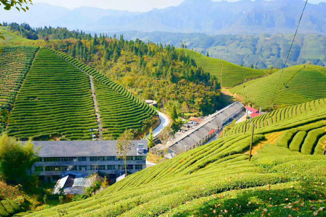 网友交流|让更多的人知道,有一个地方叫鹤峰!