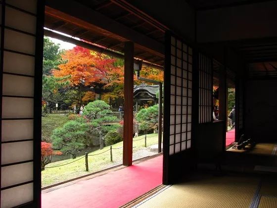 横滨三溪园值得去吗,三溪园景点