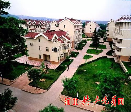 沙河栾卸银杏林夏天好玩吗,沙河栾卸银杏林景区