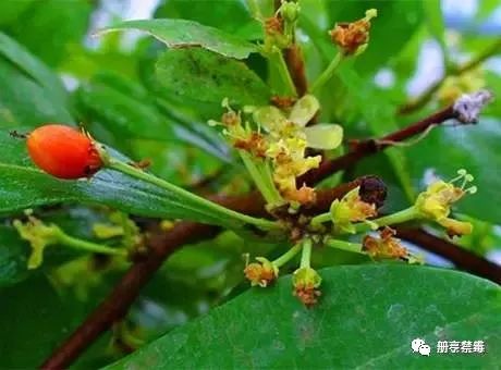 禁毒第十集,禁毒第10期