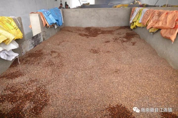 备战双11捡漏,备战双十一出绝招