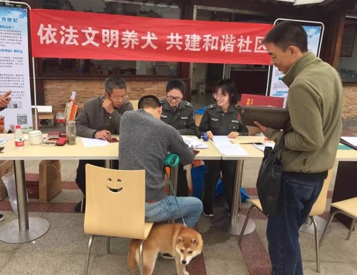 宠物犬在哪个部门办证,家有萌犬告示牌