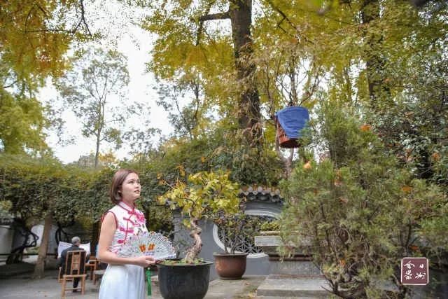 罨画池值得玩吗,罨画池有什么文物