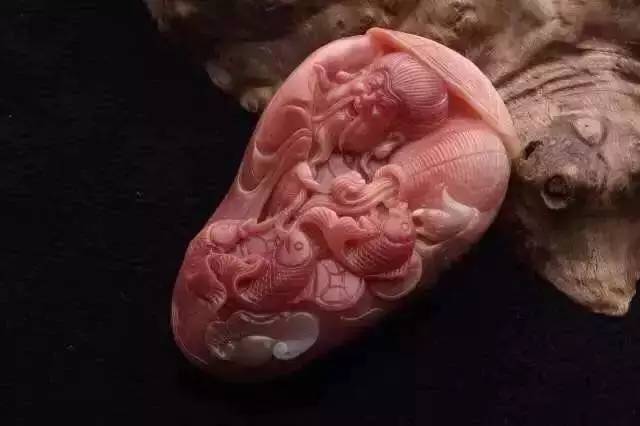 价值暴涨的收藏品,砗磲升值空间有多大