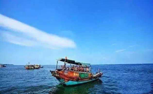 价值暴涨的收藏品,砗磲升值空间有多大