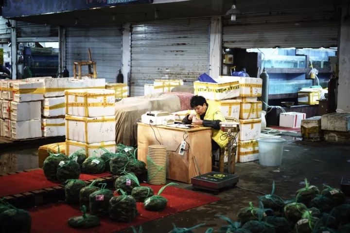 上海去哪里吃实惠而又正宗的海鲜,上海哪里的海鲜又便宜又好吃