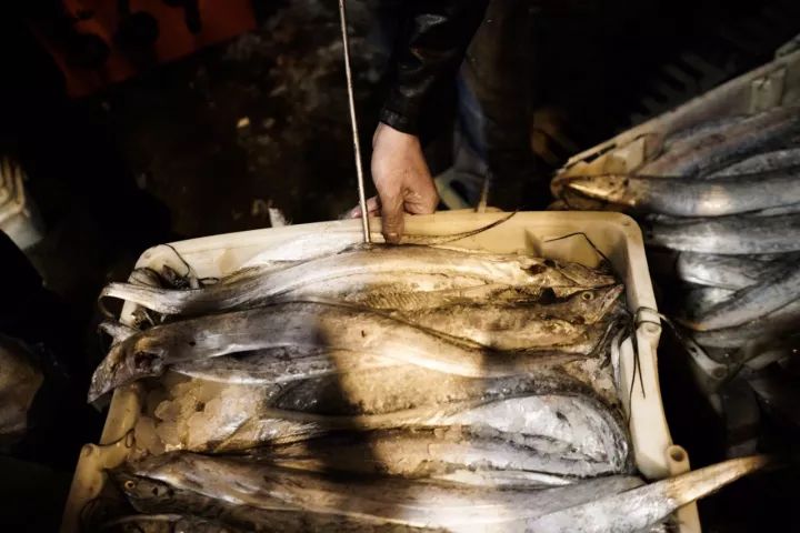 上海去哪里吃实惠而又正宗的海鲜,上海哪里的海鲜又便宜又好吃