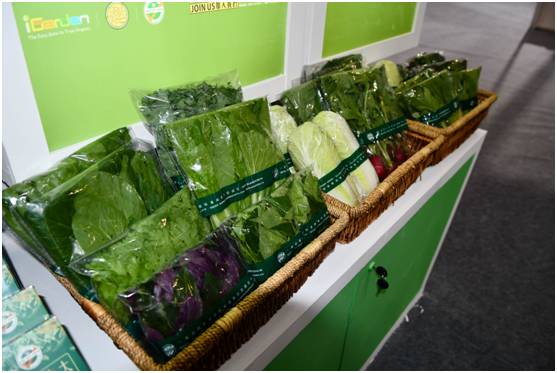 成都特色农产品亮相四川农博会,四川农业博览会农产品