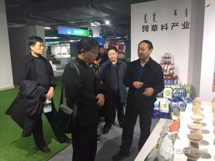 鸿雁知天下最新新闻,鸿雁知天下完整版