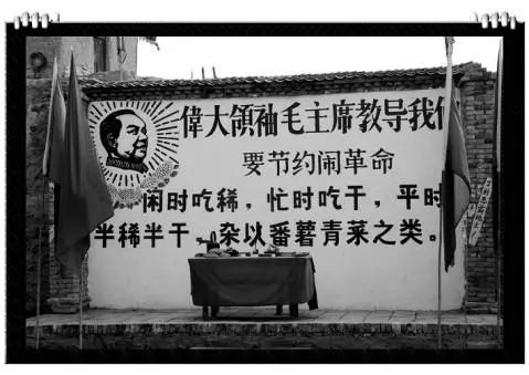 北岛海鲜养殖,北岛值得培养吗