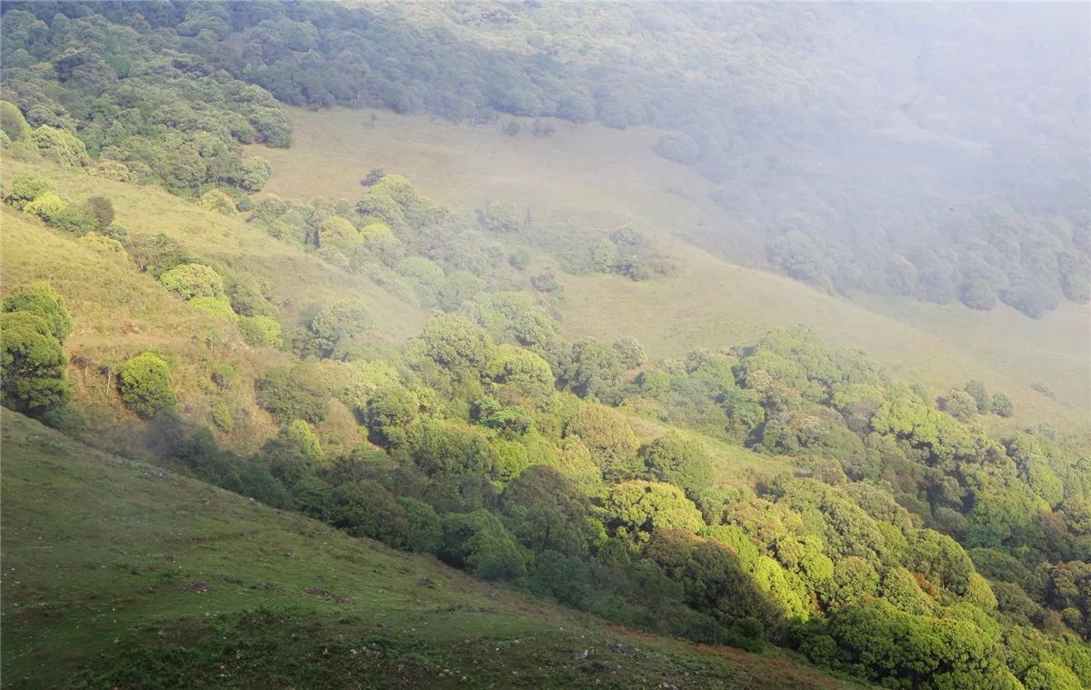 芒市黑河老坡沿途自然风景,芒市苤菜坝和黑河老坡一样吗
