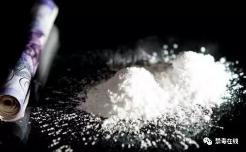 禁毒第十集,禁毒第10期