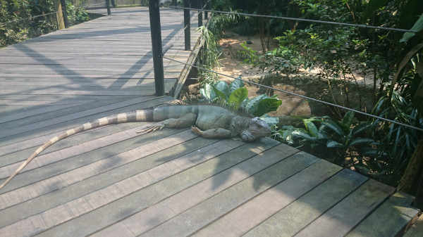 亲子游新加坡旅游攻略推荐,新加坡自由行亲子攻略2015