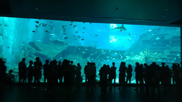 亲子游新加坡旅游攻略推荐,新加坡自由行亲子攻略2015