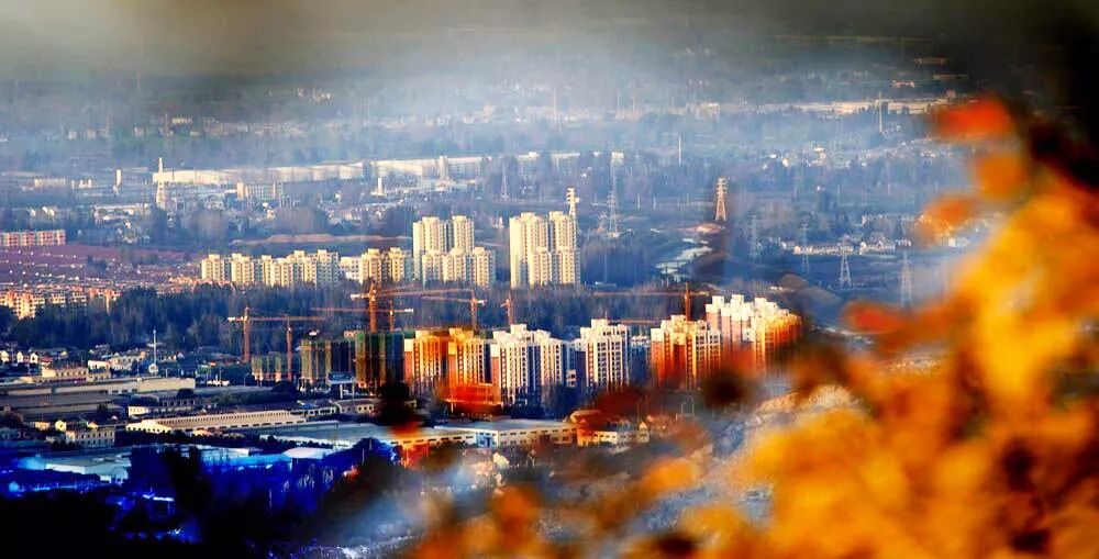 全体淮北人:赶紧来看她最后一眼,要不得再等一年!