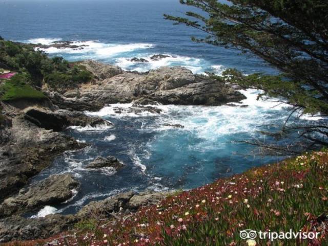 美国旅游自驾好还是坐车好,自驾游去美国去哪个国家最好