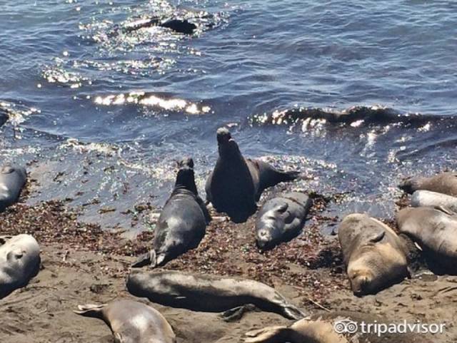 美国旅游自驾好还是坐车好,自驾游去美国去哪个国家最好