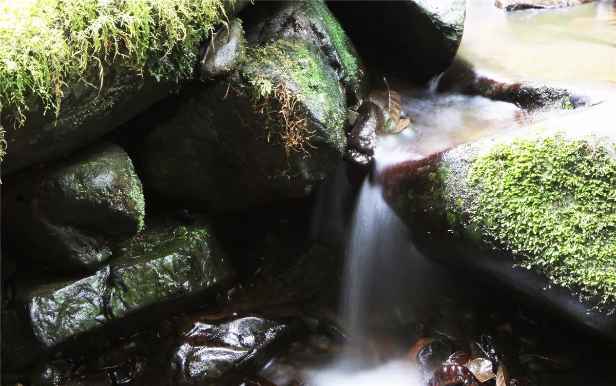 芒市黑河老坡沿途自然风景,芒市苤菜坝和黑河老坡一样吗