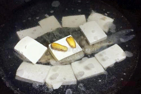 鱼炖豆腐,鱼炖豆腐和白菜家常做法