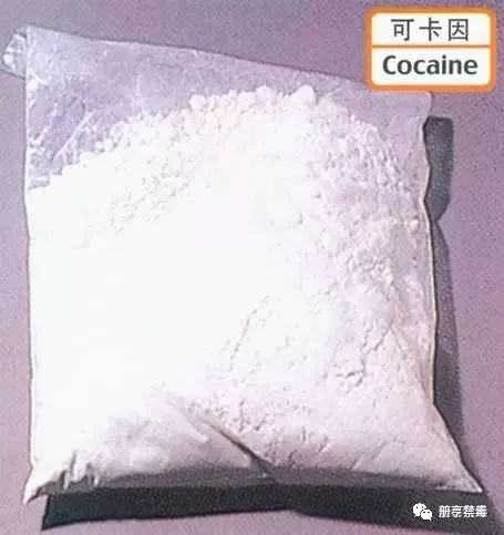 禁毒第十集,禁毒第10期