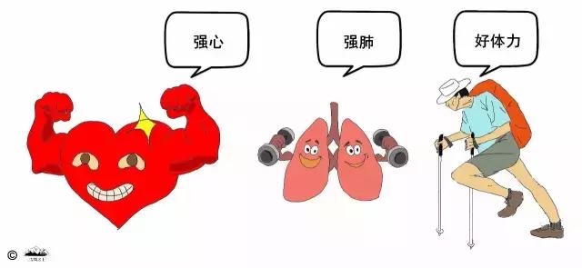 户外登山体力训练,登山提升爬坡能力