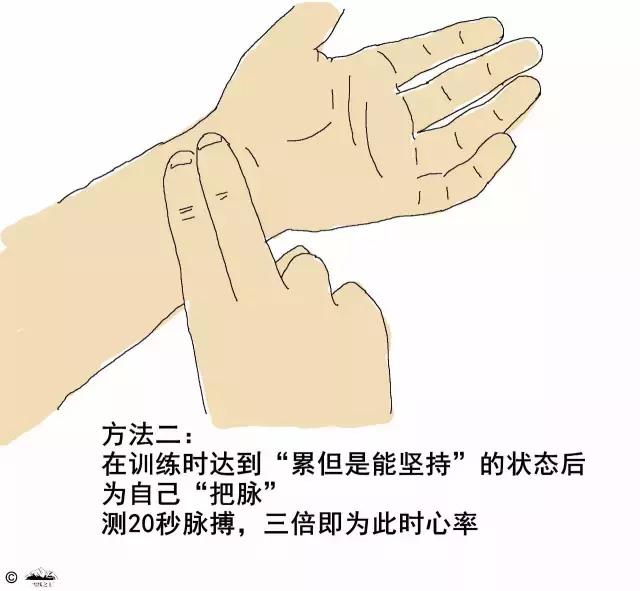 户外登山体力训练,登山提升爬坡能力