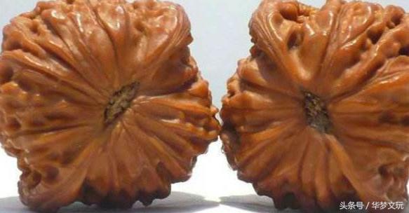 磨盘连体狮子头,平顶狮子头和磨盘区别