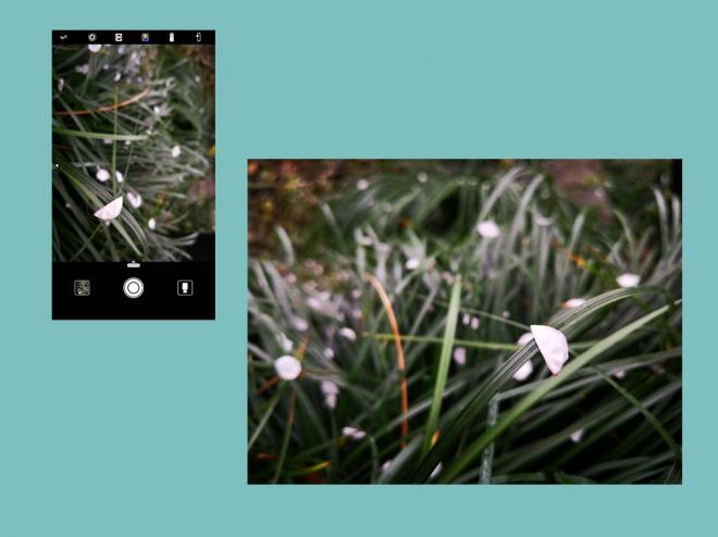 华为p10和华为p10plus有什么区别,华为p10plus人像摄影