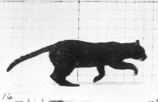 创意diy指尖陀螺,用电池制作指尖陀螺