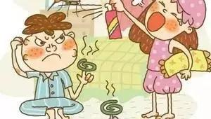 驱蚊草天竺葵怎么养殖,驱蚊草香叶天竺葵对猫咪有害吗