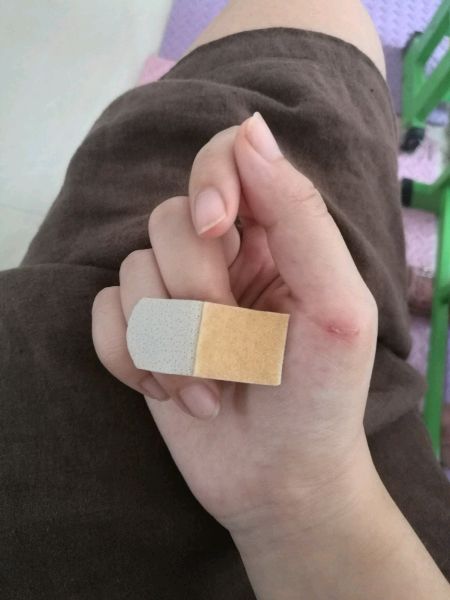 话不投机半句多,一言不合就开咬,这猫是不是被我宠坏了!