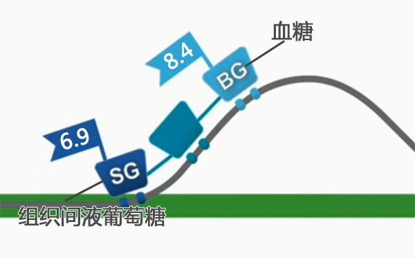 雅培瞬感血糖多久最准确,雅培动态血糖结果解读