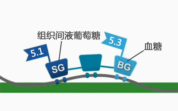 雅培瞬感血糖多久最准确,雅培动态血糖结果解读