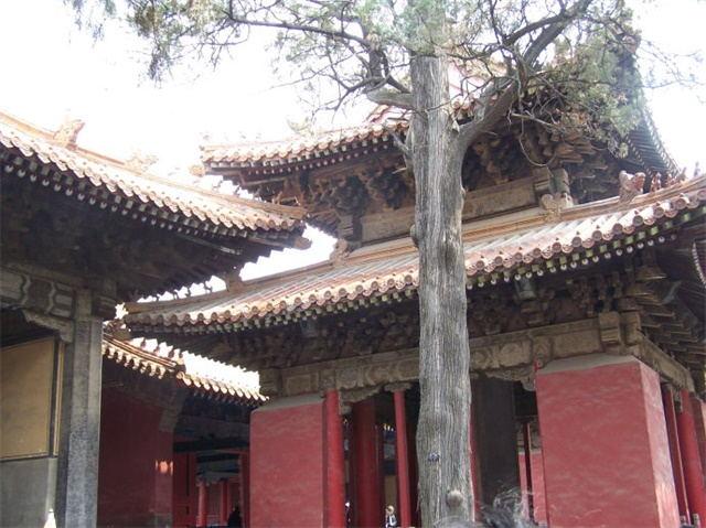 济宁gdp是多少,济宁经济山东排行