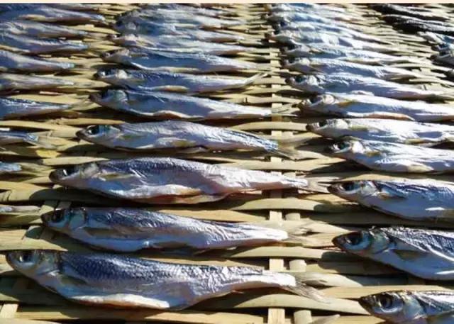 各种海鲜河鲜,河鲜海鲜推荐