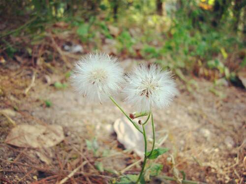 奇甲决策学视频教程,知人者智自知者明论证方法