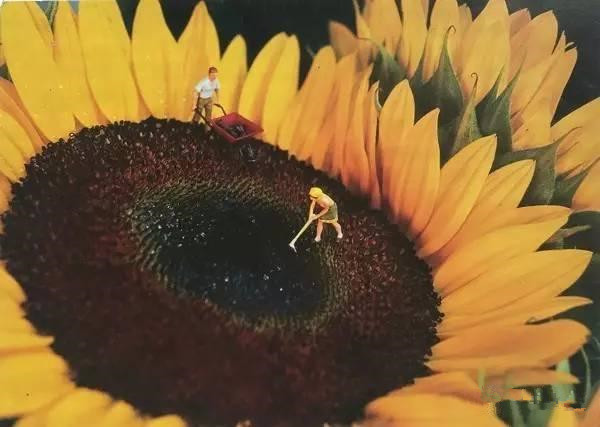 美国美景明信片,关于各个国家风景的明信片