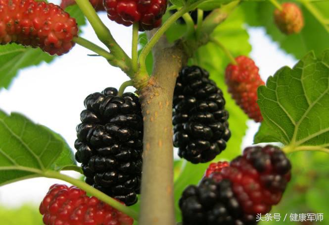 一个长寿养生动作,最长寿的养生方法都是免费的