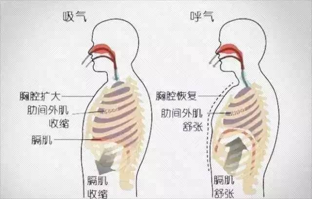运动时岔气是什么表现,岔气时还应继续锻炼嘛